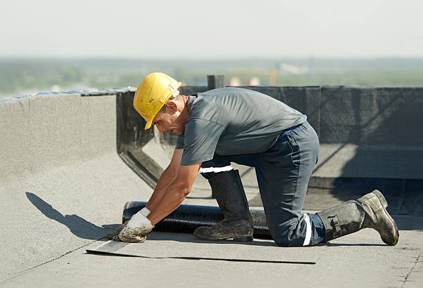 Best Geographic-Specific Insulation Services in Pierce, CO