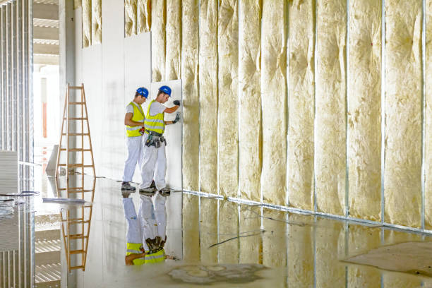 Best Specialized Insulation Services in Pierce, CO